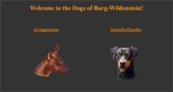 Desktop Screenshot of burgwildenstein.at