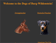 Tablet Screenshot of burgwildenstein.at